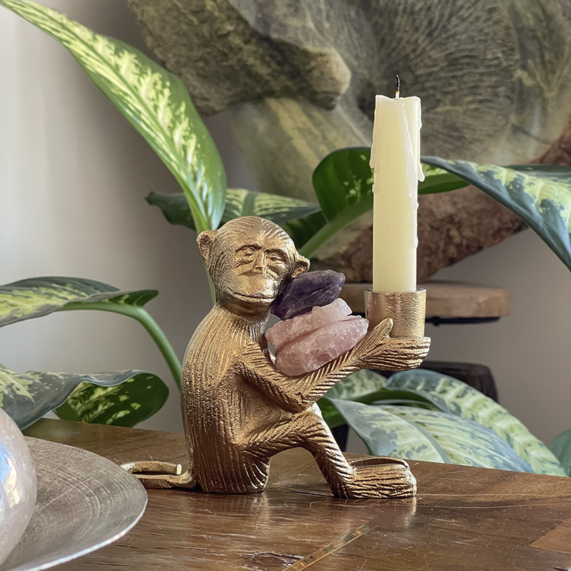 Love and Peace Monkey