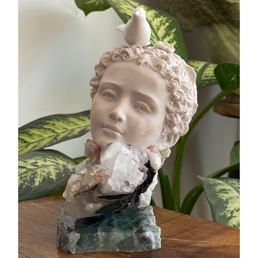 A Bird of Fortune Landed on My Head