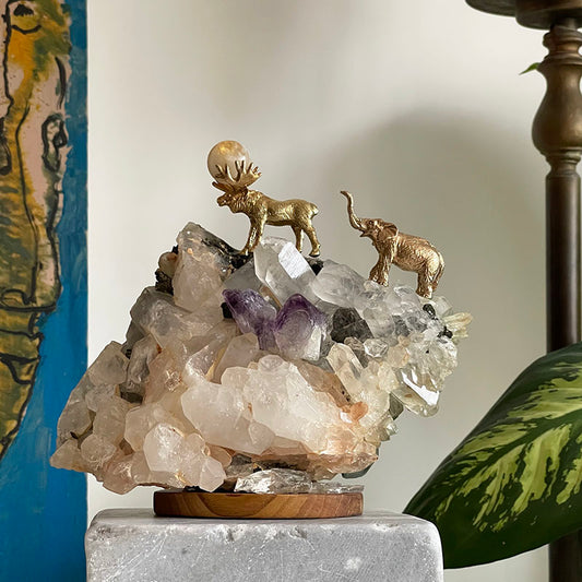 Yenı Yılda Şans ve Bereket