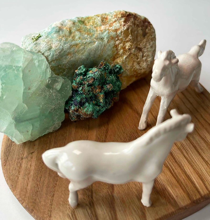 Horses