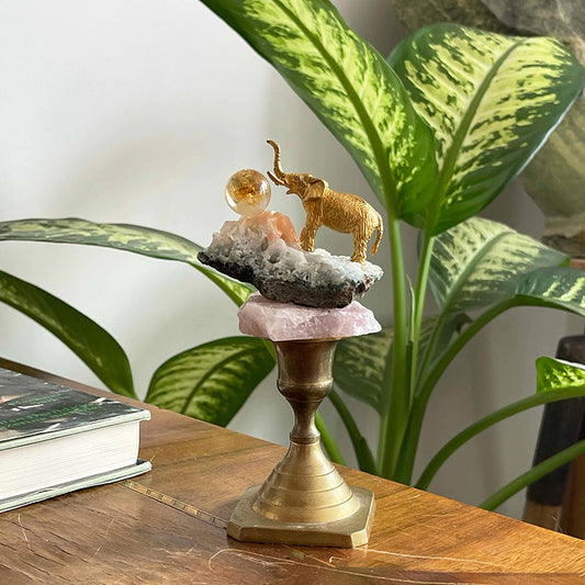 Altın Filin Bereketi