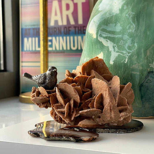 Çöl Gülü Kuşunun Şarkısı